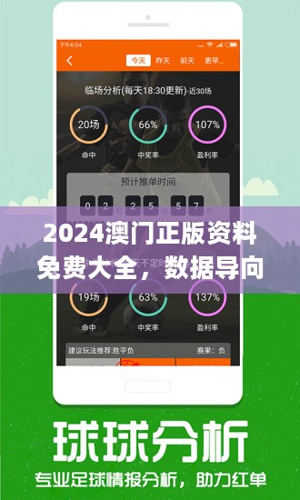 2024新澳门正版免费资料，详细解答解释落实_al58.70.08